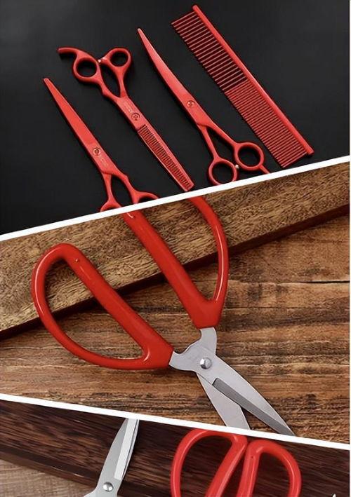 张小泉爆料者视频大全最新,揭秘事件背后真相